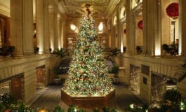 Deck the Halls & Gather for Cheer